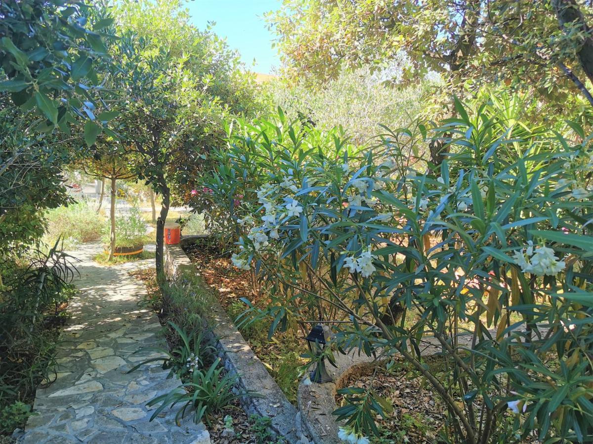 Lenka Apartments I Novalja Εξωτερικό φωτογραφία