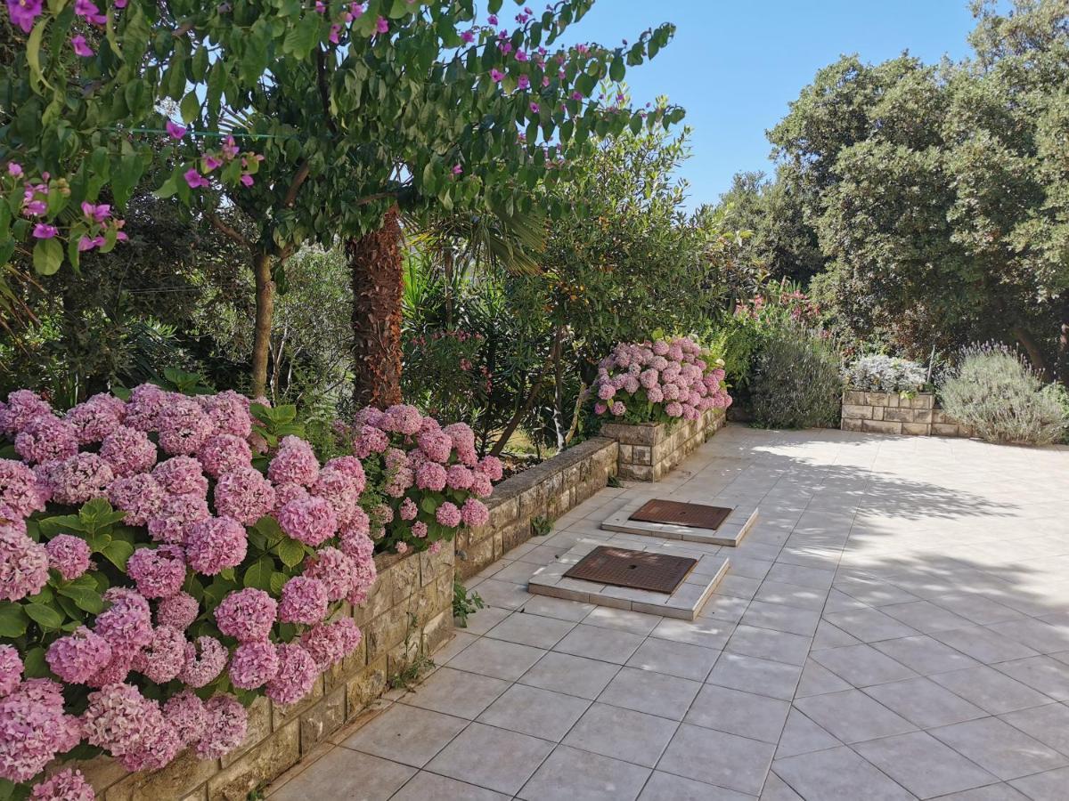 Lenka Apartments I Novalja Εξωτερικό φωτογραφία